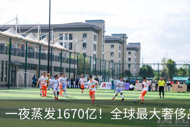 一夜蒸发1670亿！全球最大奢侈品巨头遇冷：被河南小县城击垮了？